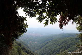 Monte Fior di Cosimo